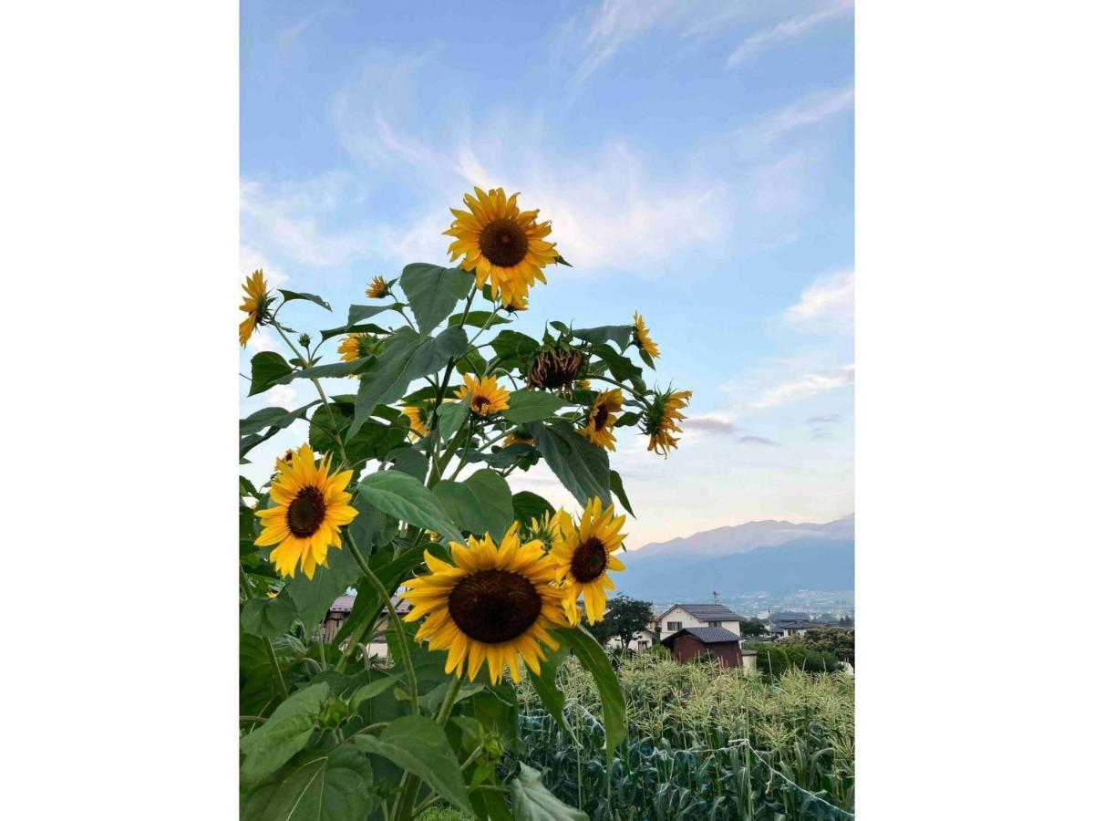 Longhillsecoguesthouse&Cafe - Vacation Stay 24885V Ome Kültér fotó